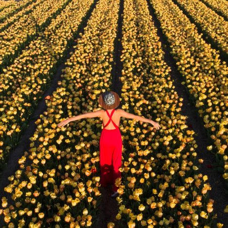 Neapol. Capri. Amalfi. Sorrento Dolce Vita Experience – 5 dni na południu Włoch 8-12 kwietnia 2026r oraz   4 dni w dniach 4-7 czerwiec 2026r