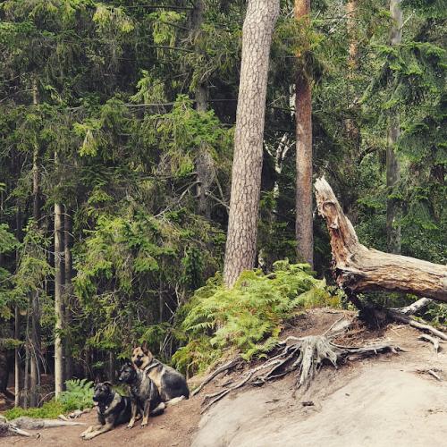 IMG_20190809_135225_466