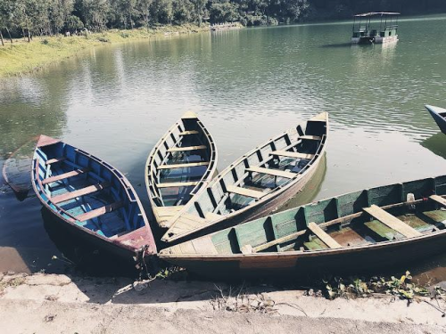 obraz-302