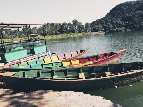 obraz-306